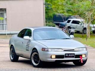 toyota-marino-ceres