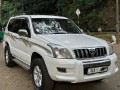 toyota-prado-small-0