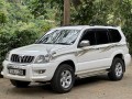 toyota-prado-small-1