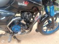 pulsar-150cc-small-4