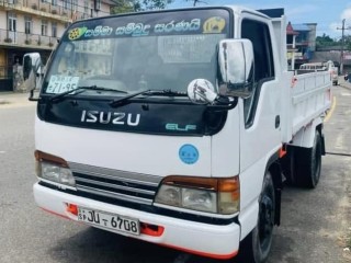 isuzu-tipper