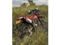 honda-xr-250-small-5