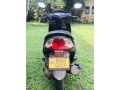 honda-dio-small-0