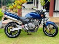 honda-hornet-250-2003-small-2