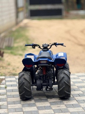 atv-beach-bike-big-5