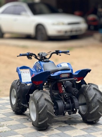 atv-beach-bike-big-4