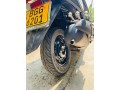 honda-dio-small-4