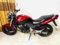 honda-hornet-250-2015-small-1